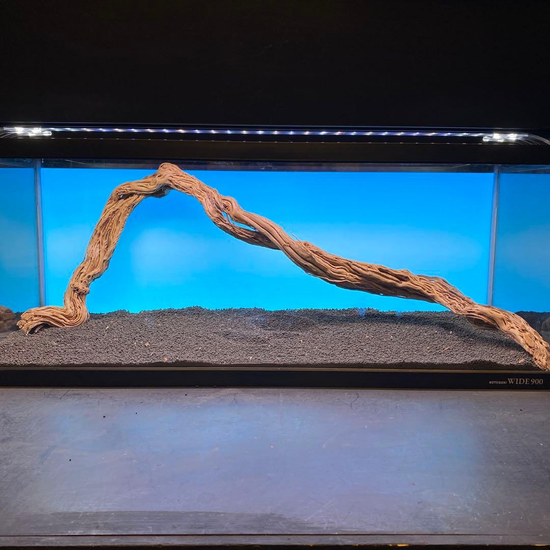 MTW-6748 蔦流木1点物　90cm水槽用流木　アクアリウム