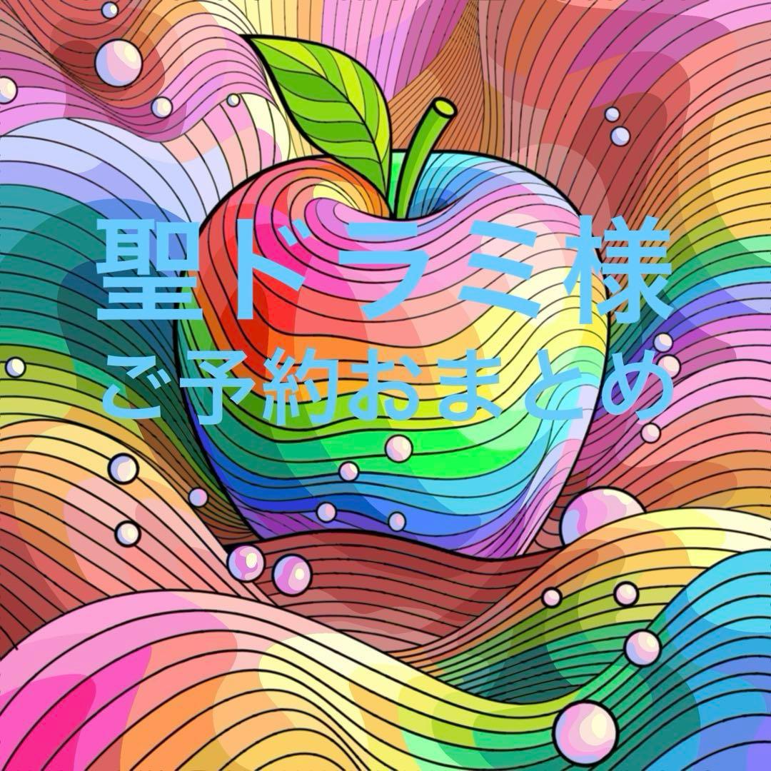 聖ドラミ様おまとめ品