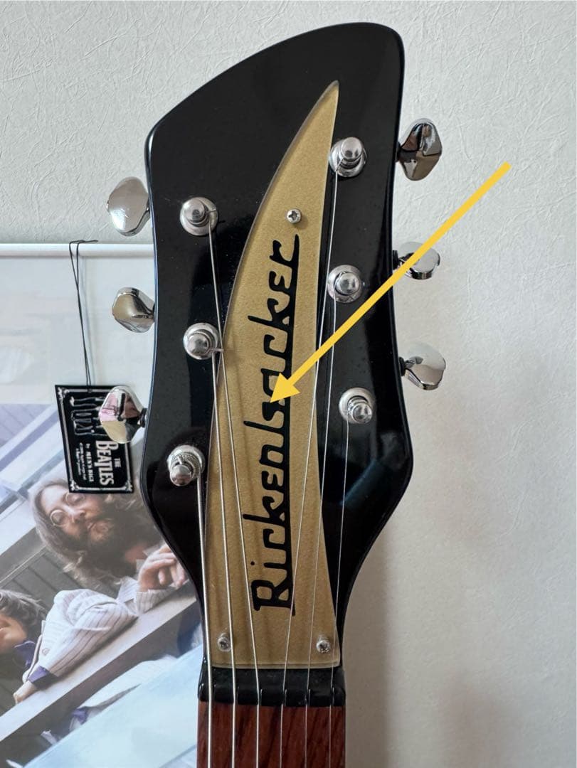 Rickenbackerタイププレート