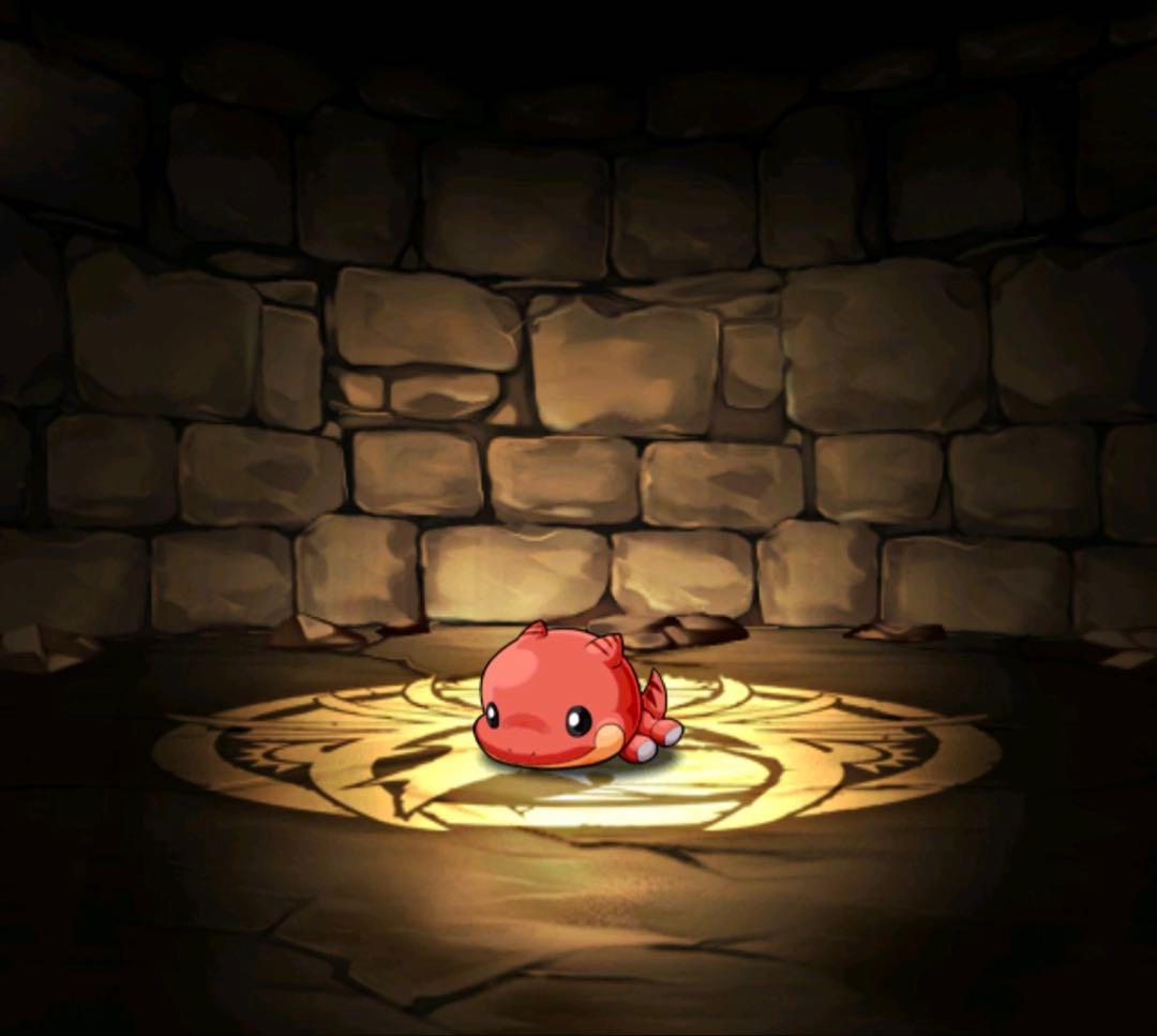 ぬいぐるみ KOBA