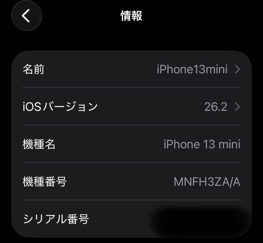 Apple iPhone 13 miniグリーン 本体 512GB 香港版