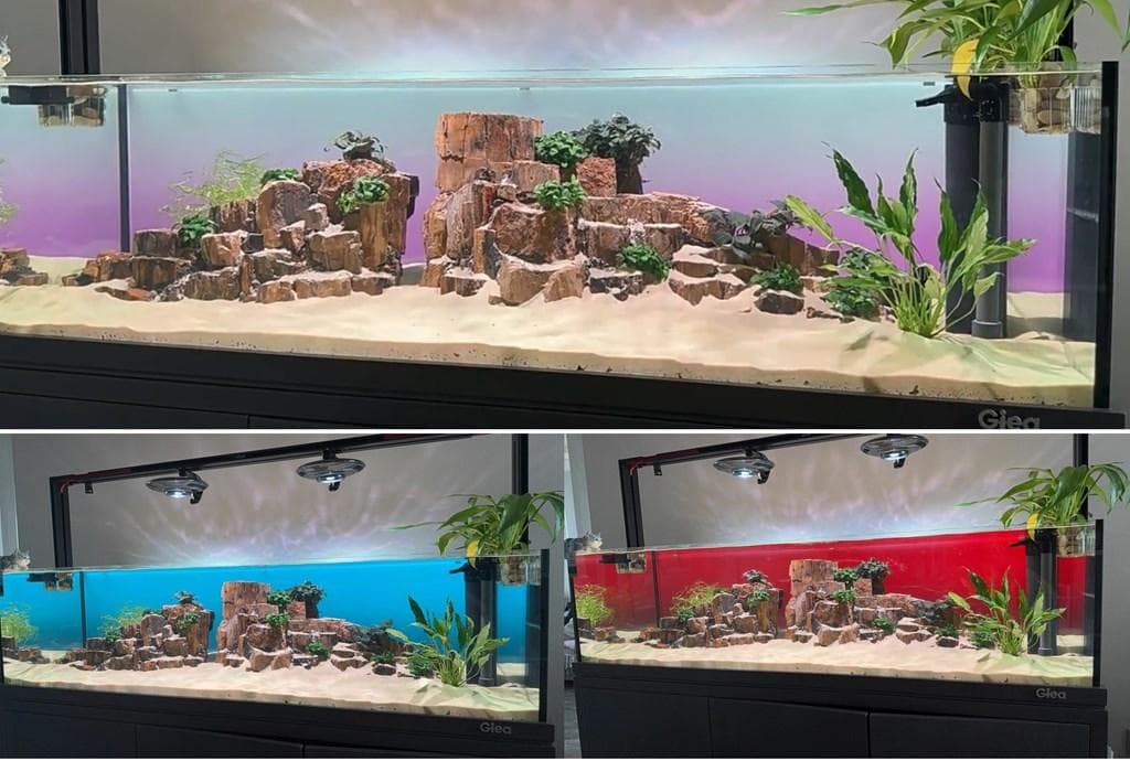 【b2l30】2色カラーLEDライトスクリーン OFF黒 30cm x 30cm