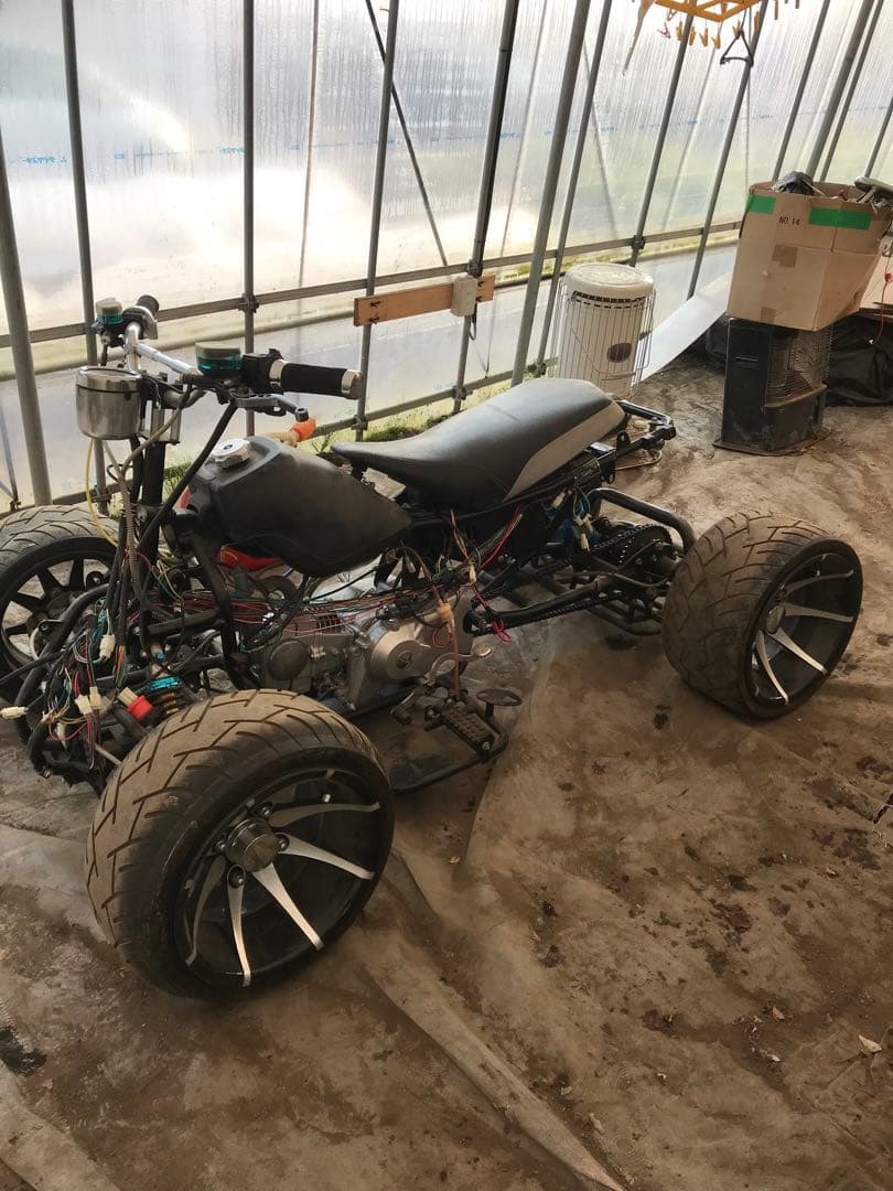 バギー　引き取り希望のみ