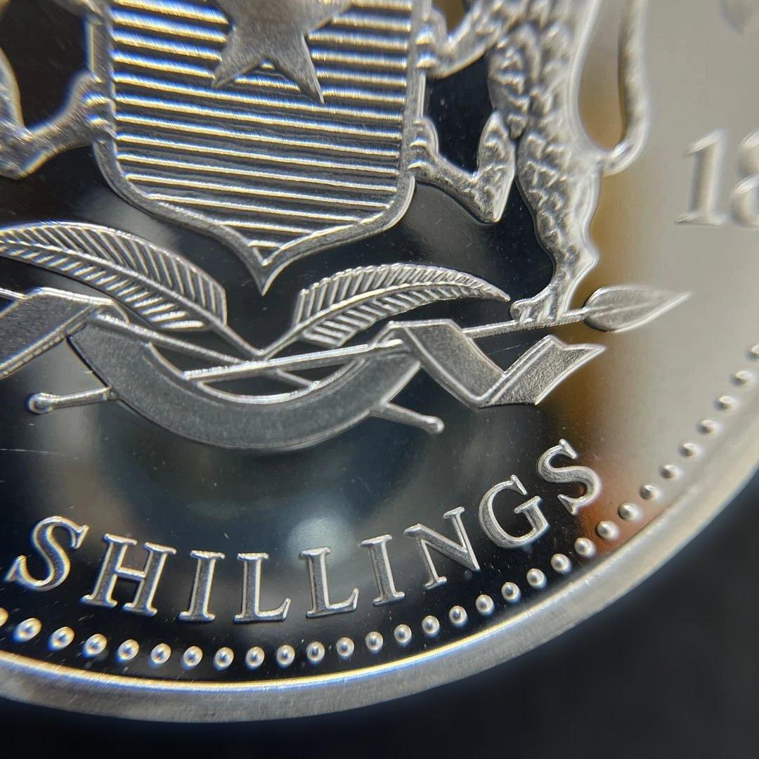 【純銀】ソマリア共和国　2018年　エレファント銀貨100シリング　1オンス①