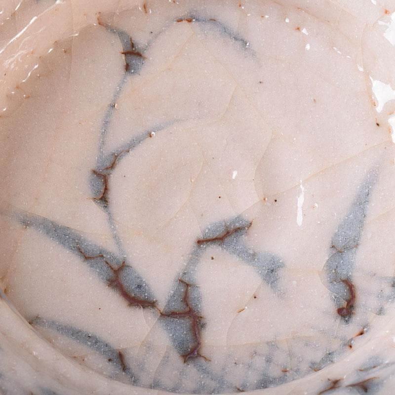 和食器　美濃焼　陽山窯　三代　水野雅之作　志野向付　五客揃　共箱　VR8272H