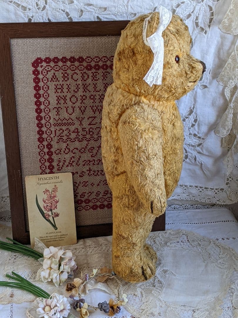 【p】アンティークベア　アンティークテディベア　イギリス