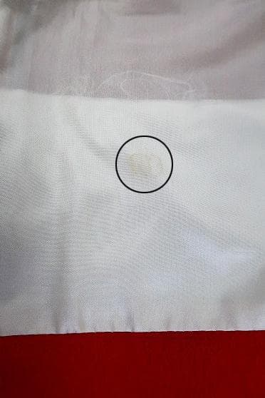 美品 本振袖 紅型染 朱赤 縮緬地 アゲハ蝶 吉祥花 身丈163cm フォーマル