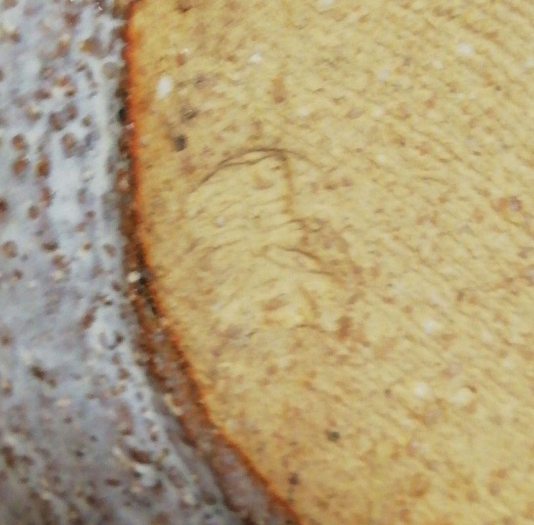 宇田川聖谷作　萩焼　耳付　水指　共箱　共布　茶道具