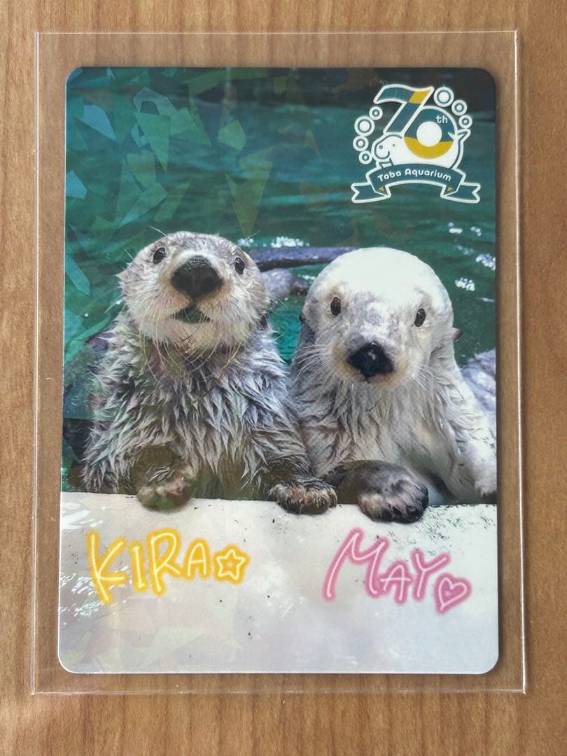 【鳥羽水族館】コレクションカード　キラ・メイ（レアカード）　ラッコ　ホロ加工