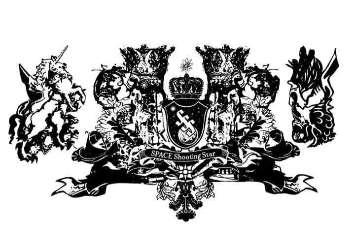 宇宙の流れ星の粉 ✨✨✨✨ レースホワイトフェアリー　✨✨✨