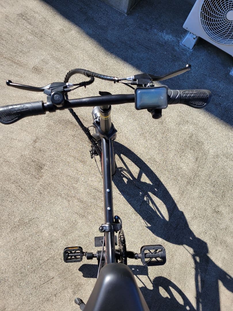 Eva　16インチ電動アシスト自転車