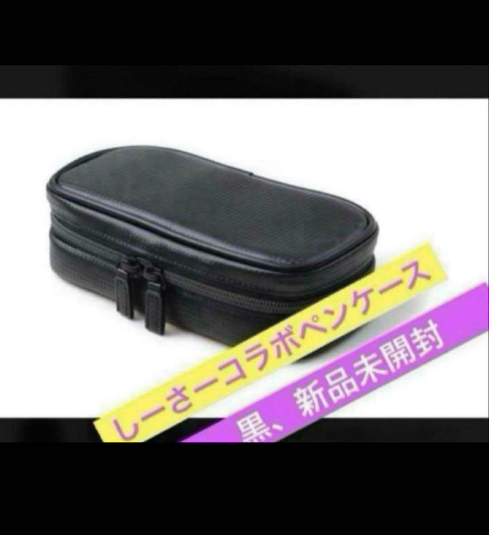 ノーマディック しーさー 【SY-01】黒 シークレットエグゼクティブペンケース