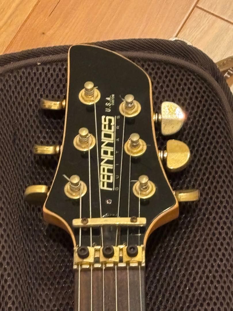 s*n様 FERNANDES APG-85S／フェルナンデス／サスティナー／エレ