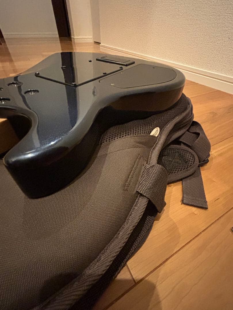 s*n様 FERNANDES APG-85S／フェルナンデス／サスティナー／エレ