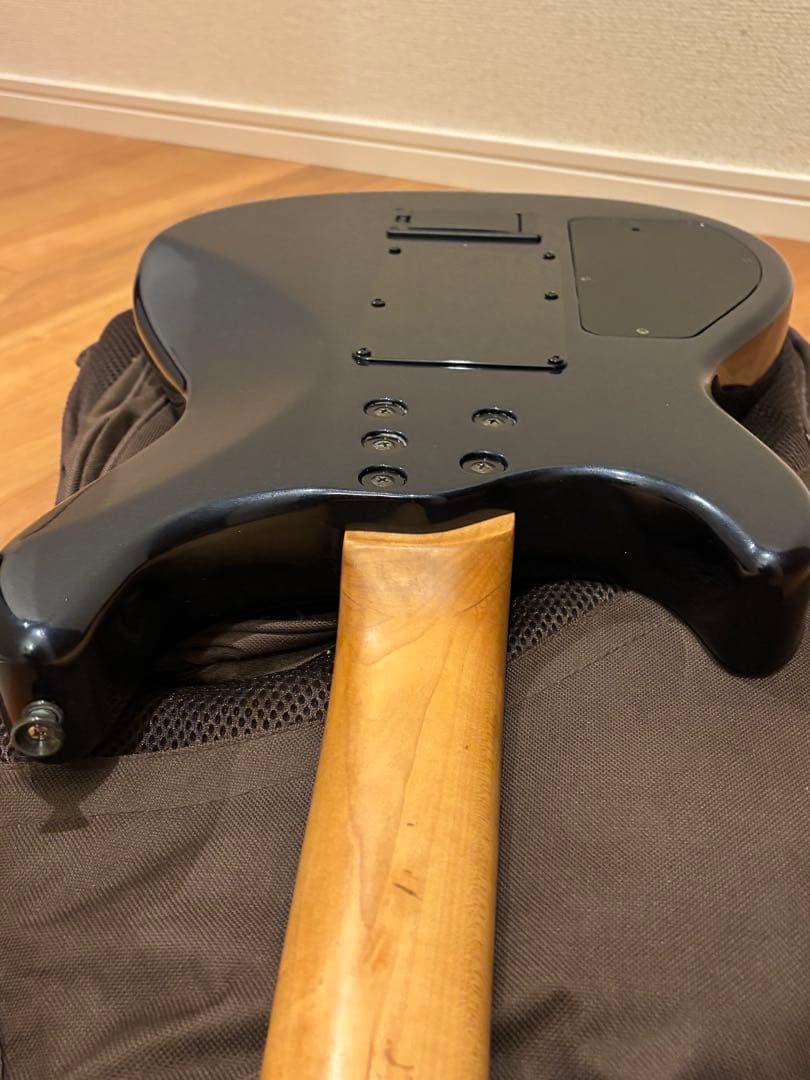 s*n様 FERNANDES APG-85S／フェルナンデス／サスティナー／エレ