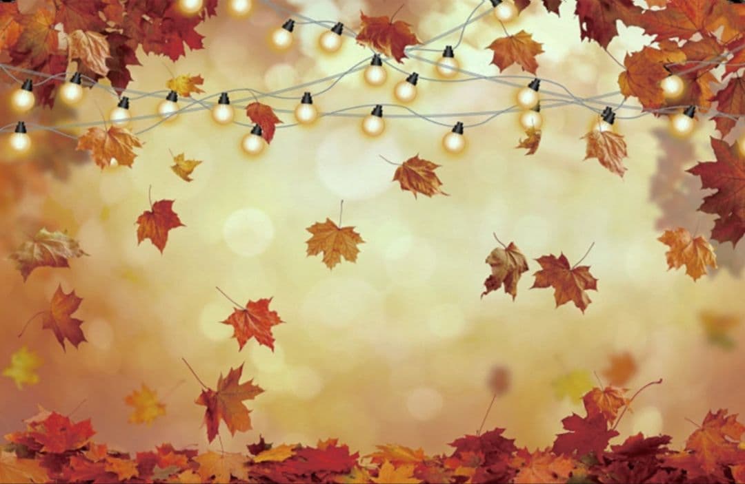 背景布　秋XD③　ペット撮影用フォトブース　ハロウィントリミングチョーカー販売中