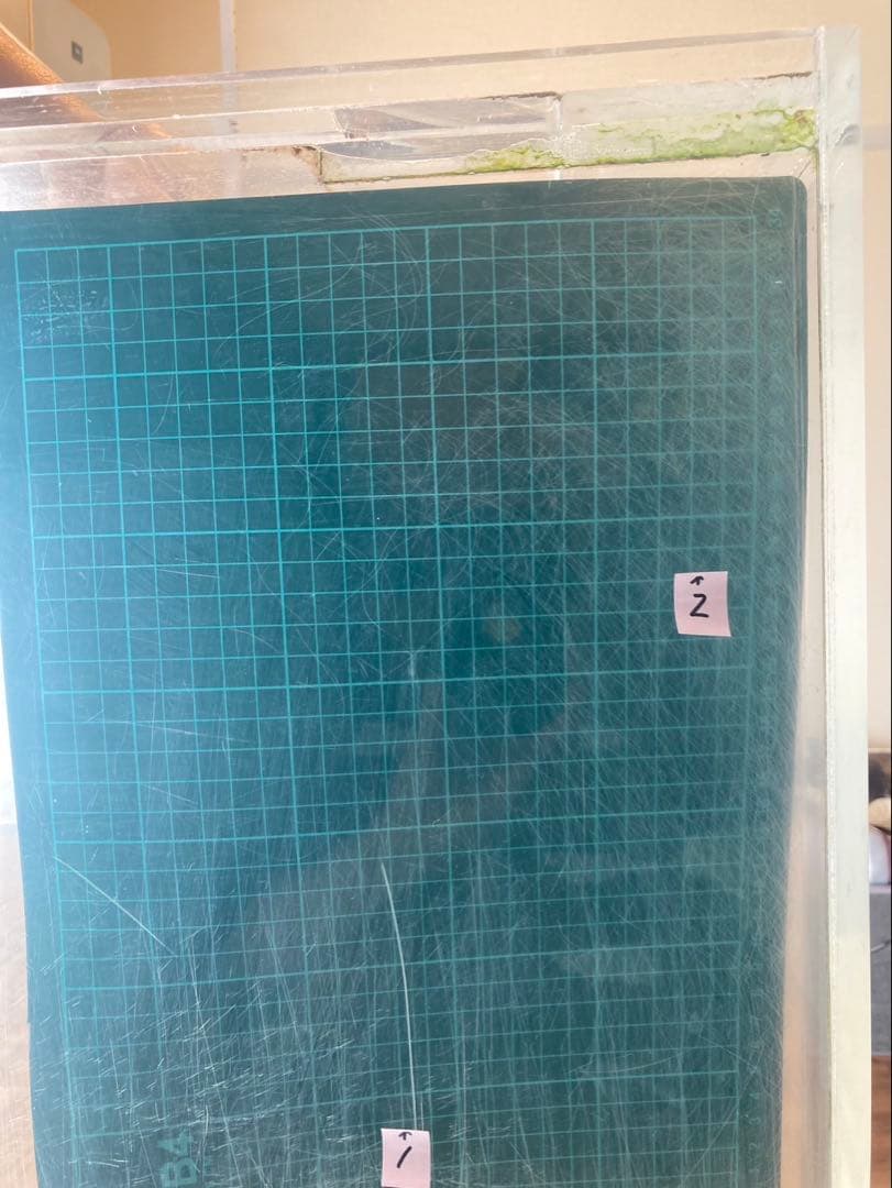 アクリル 大型 水槽 水槽セット 900×900×500 海水魚 珊瑚 飼育