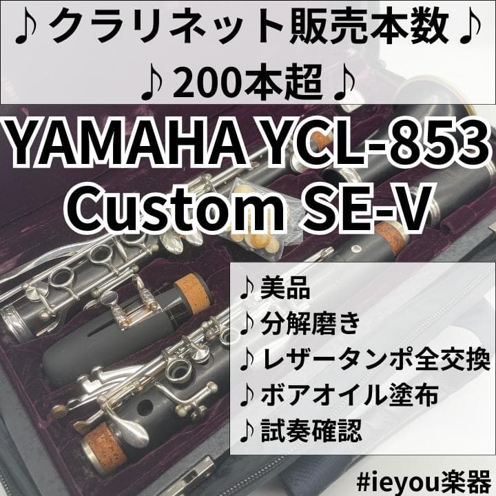 【年末年始限定価格】YAMAHA YCL-853 Custom SE-V
