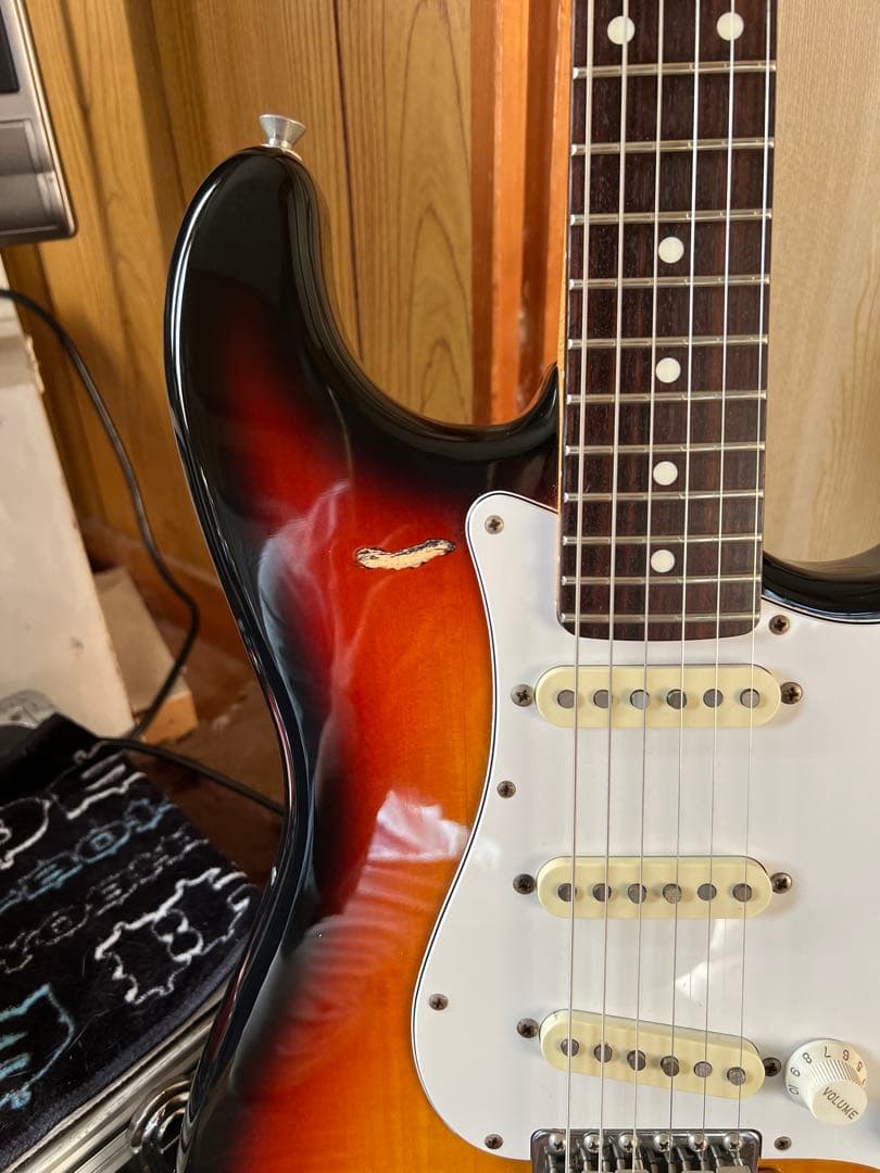 FGN ストラトタイプ　調整済み