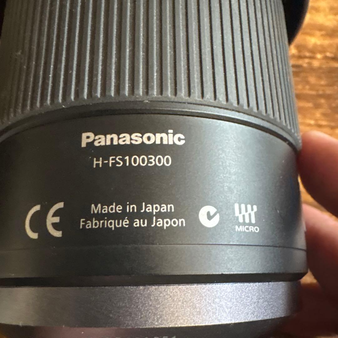 Panasonic H-FS100300 100-300mm ズームレンズ