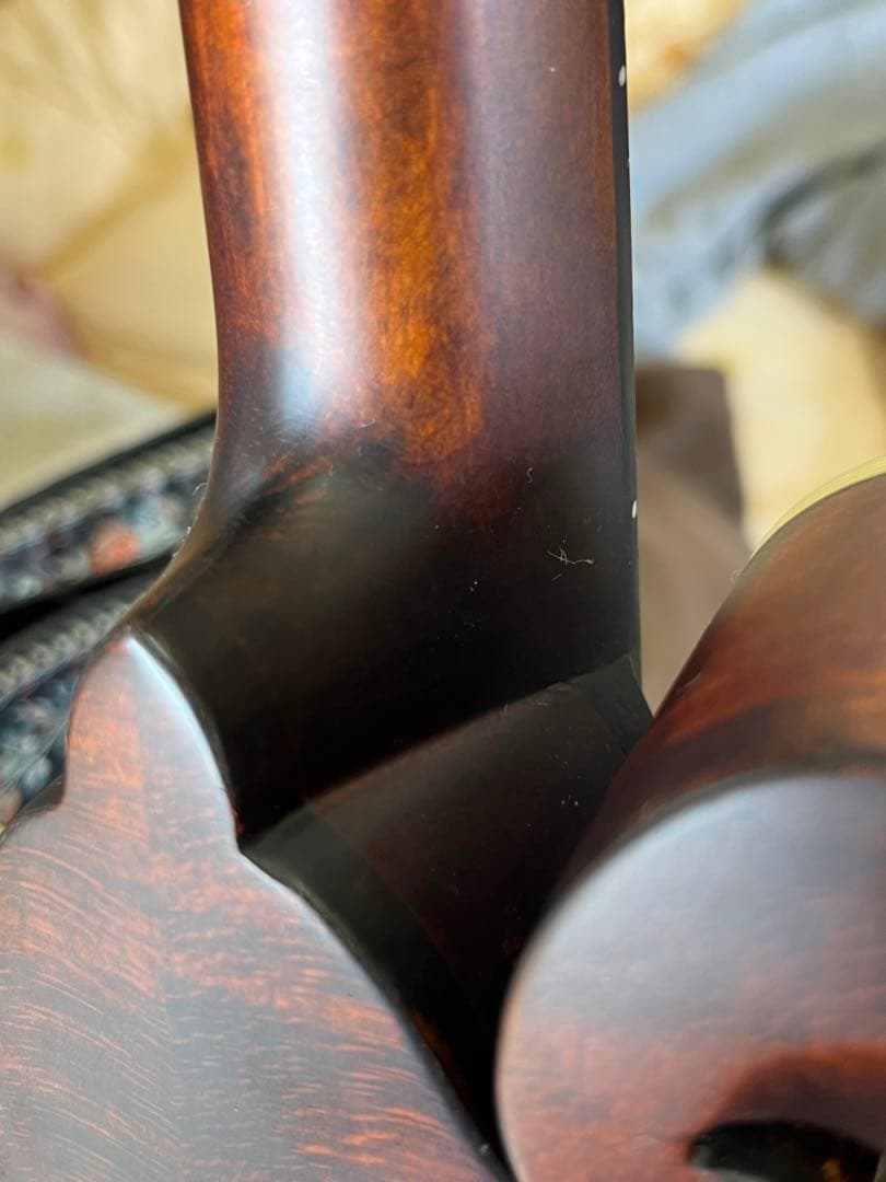 た*ん様 Eastman MD314 イーストマン フラットマンドリン