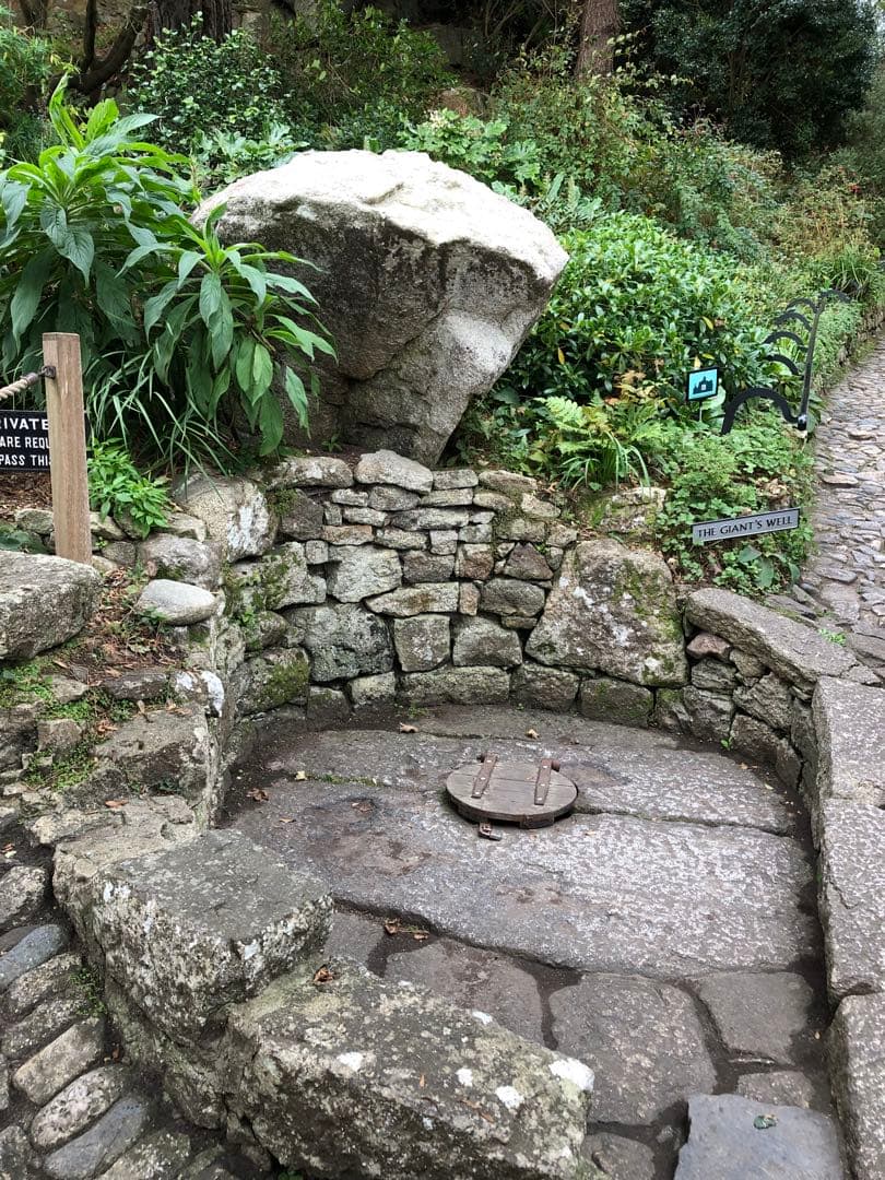  ジェリーキャット Orson Horse OR6H 馬タグ付き