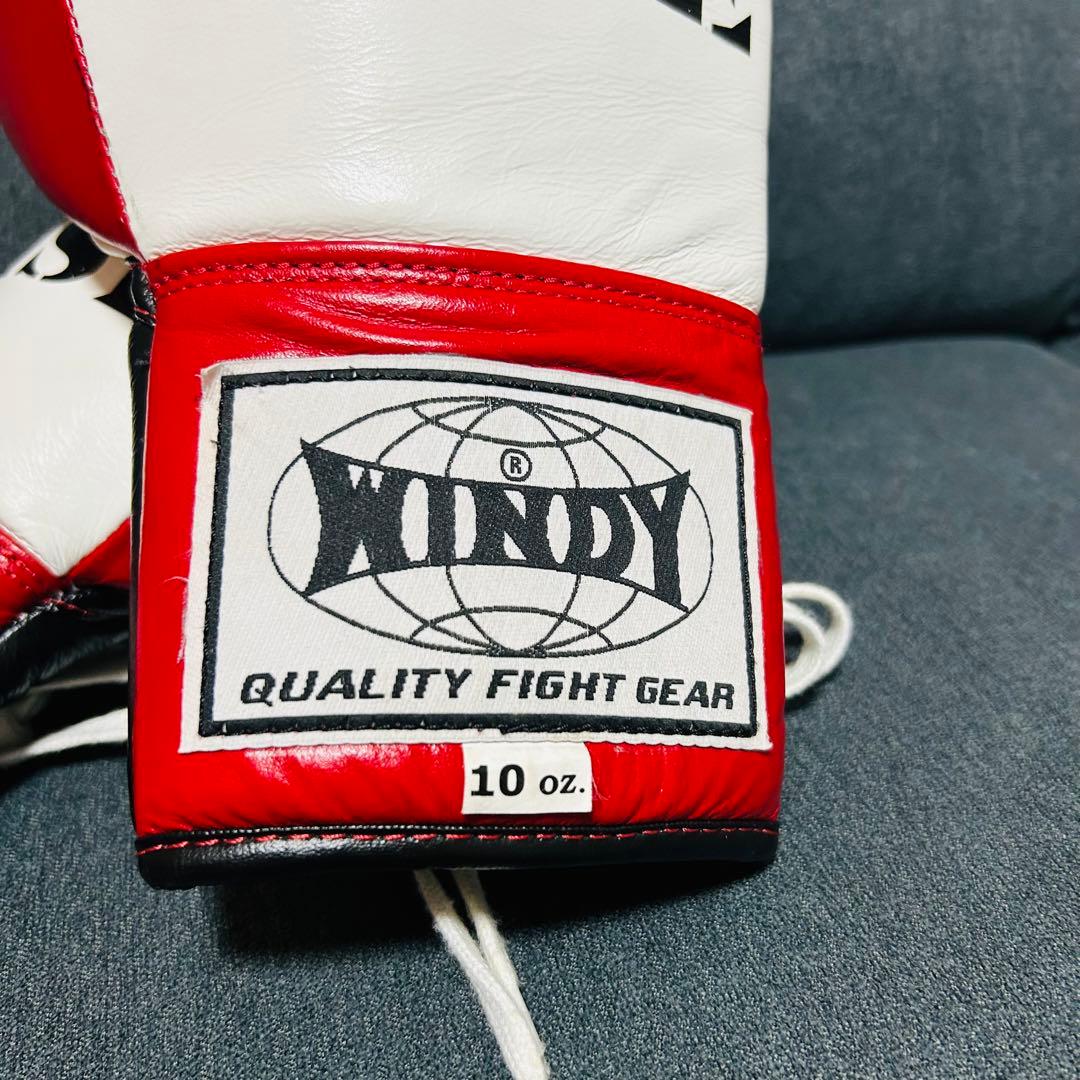 RISE ボクシンググローブ 10oz (美品)