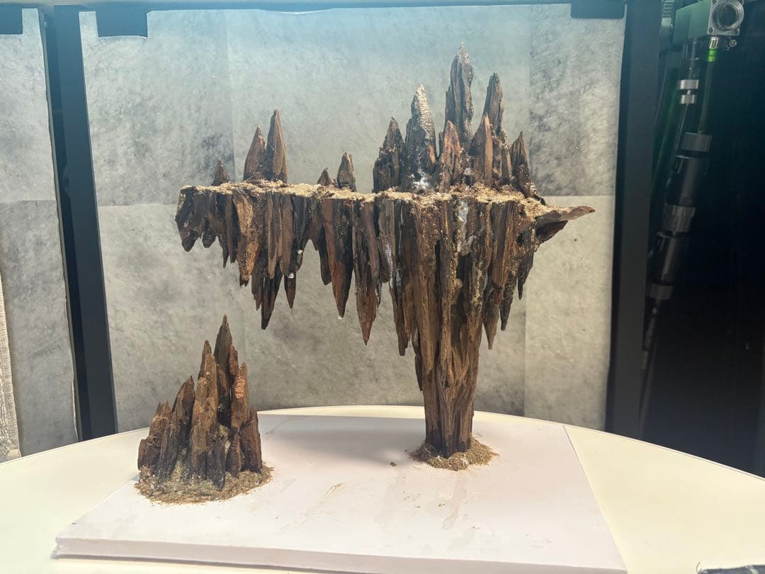 アクアリウム　レイアウト　　流木　水槽