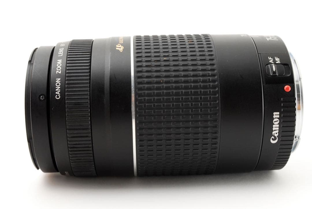 望遠レンズ☆スポーツ☆大迫力300㎜☆Canon EF75-300㎜　USM