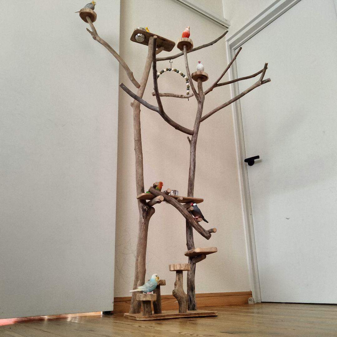 バードアスレチックジム大型 ㊶ 天然木 自然木 流木 インコ おもちゃ