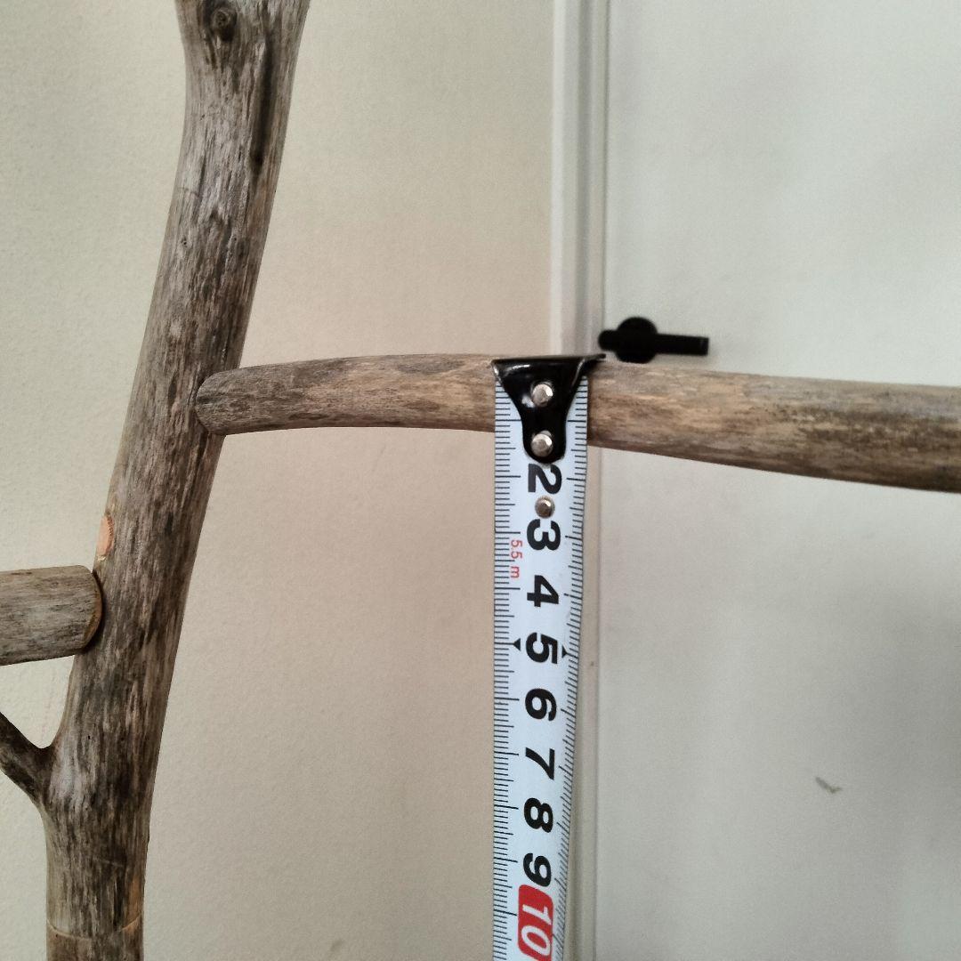 バードアスレチックジム大型 ㊶ 天然木 自然木 流木 インコ おもちゃ