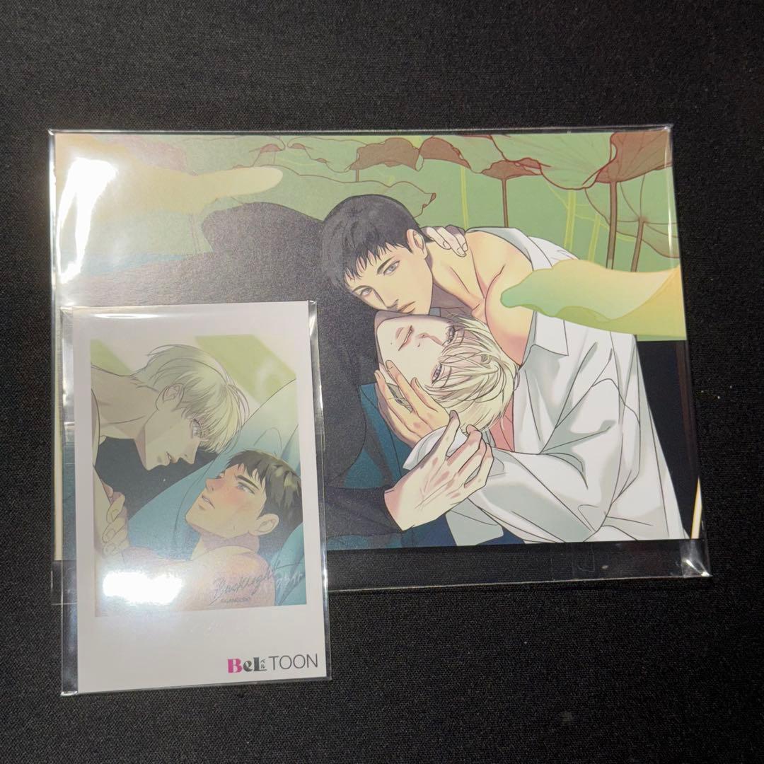 韓国BL J庭 ベルトゥーン チェキ カード バックライト backlight