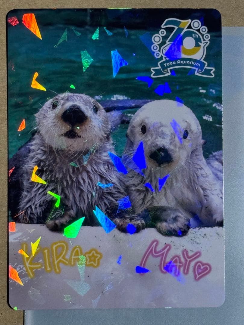 激レア！！★鳥羽水★70周年★キラとメイ★メイキラ★メイちゃん　キラちゃん