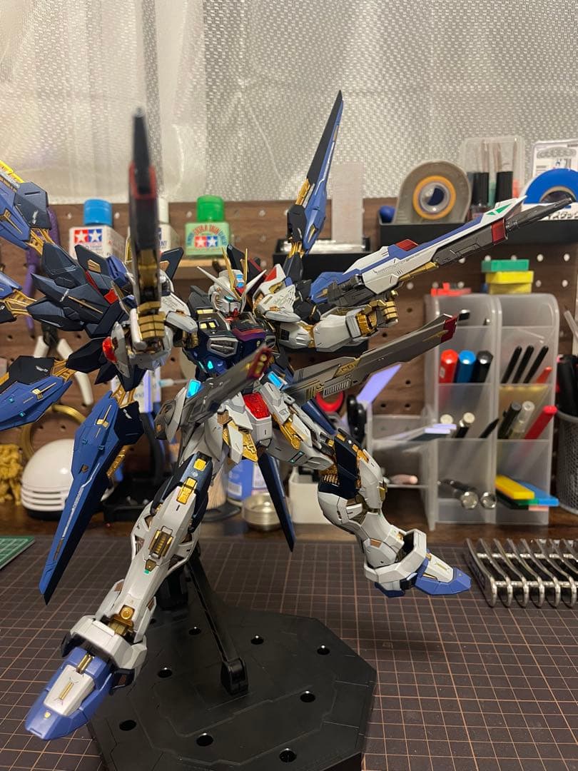 MGEXストライクフリーダム全塗装完成品