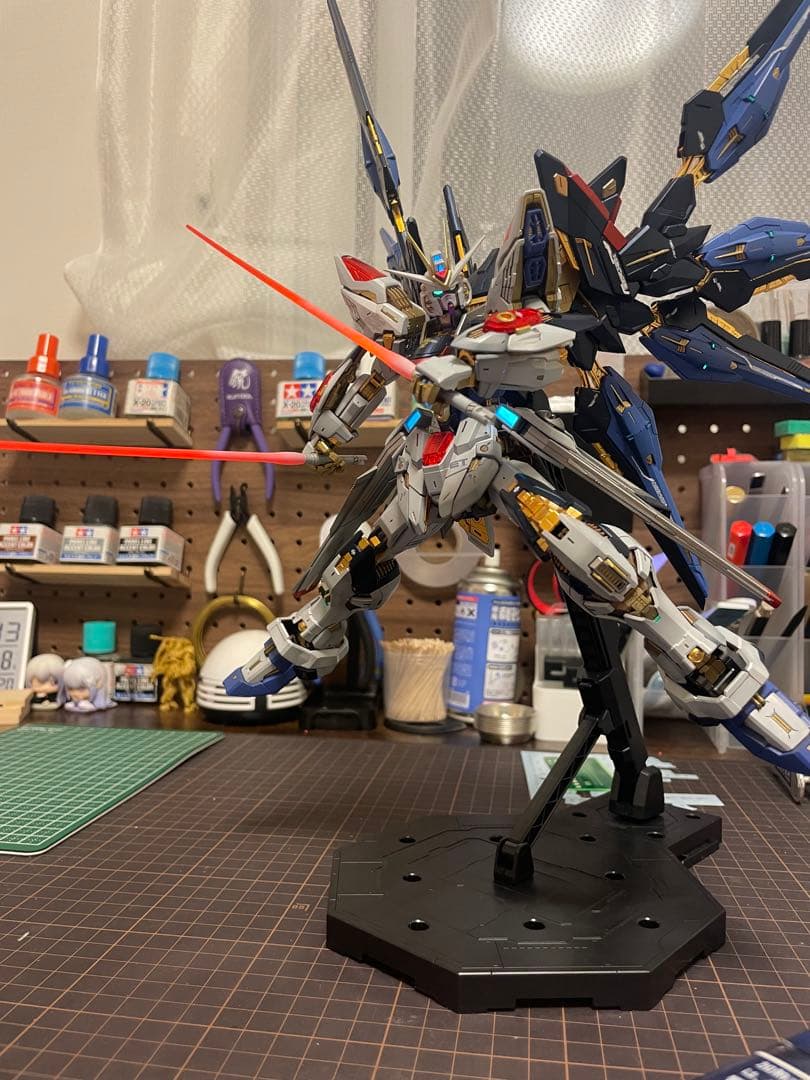MGEXストライクフリーダム全塗装完成品