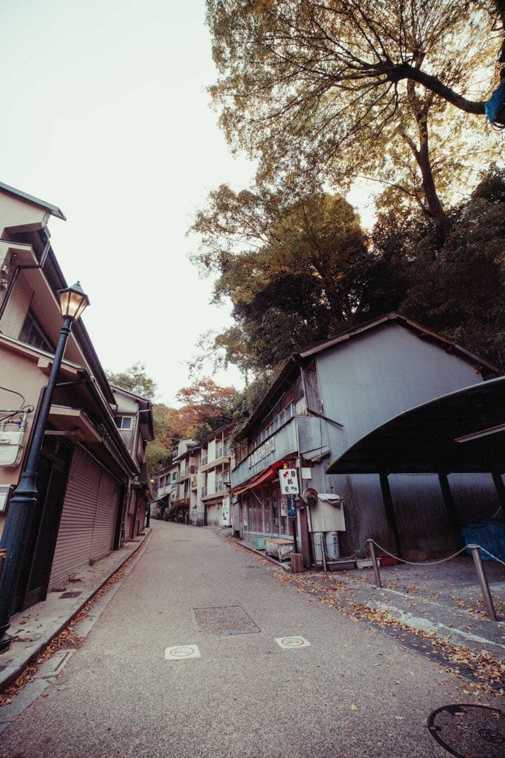 レンズ(単焦点) LAOWA FF II 15mm F5.0 Cookie