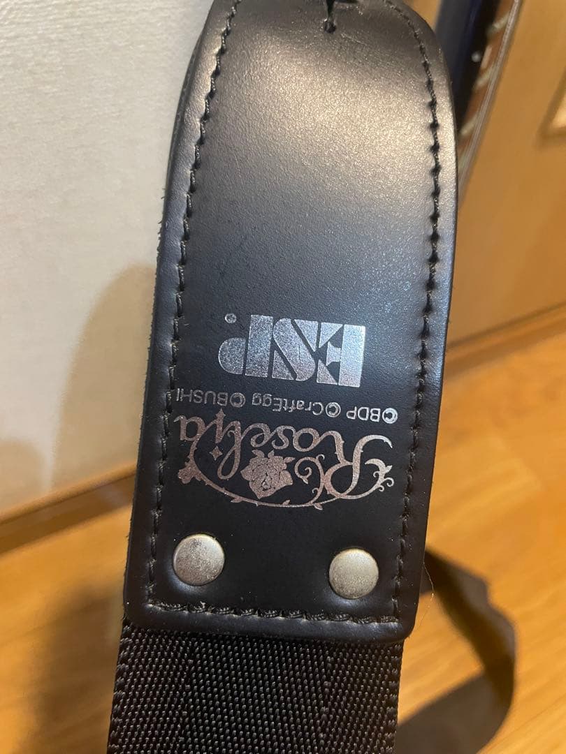 ESP M-II SAYO BanG Dream! Roselia 氷川紗夜