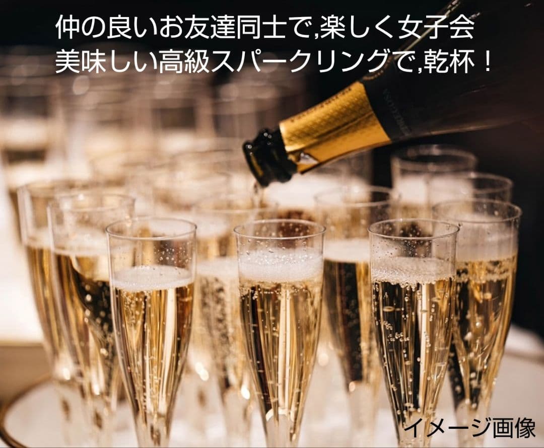 大人気の高級スパークリング (ベラヴィスタ&シャンドン&カネッラ)3本セット格安
