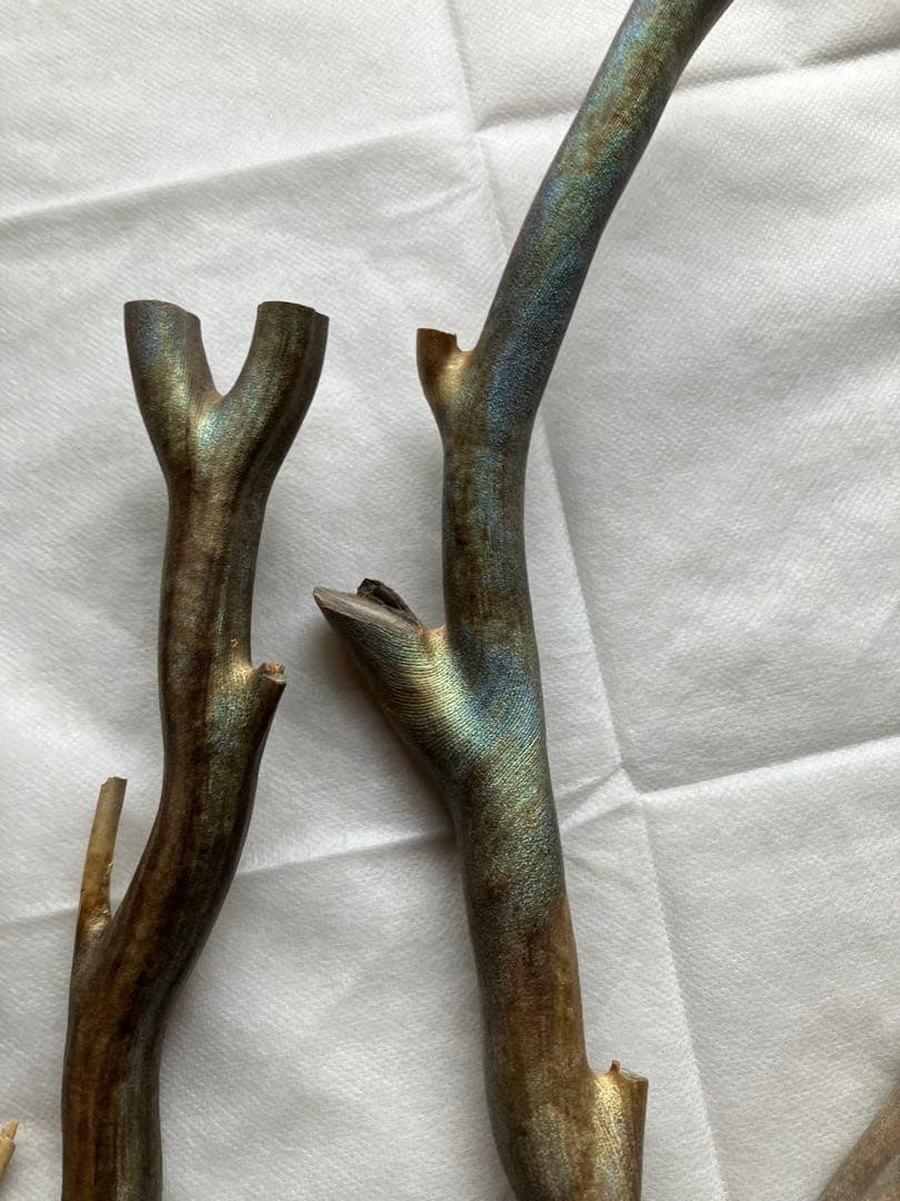 【最高級品】レインボーコーラル、深海松