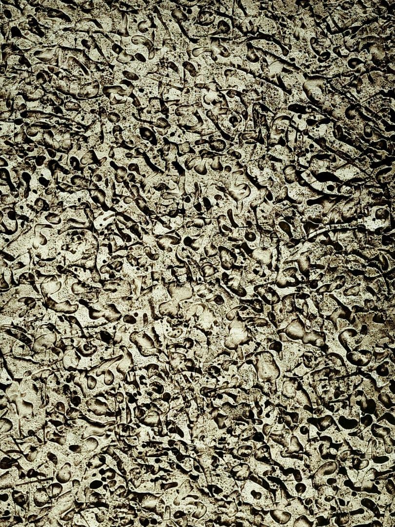 一原有徳　銅版画　EP 1978年 [DEN (2)] 59㎝x44.5cm