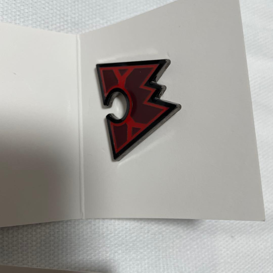 SECRET TEAMS ピンズコレクション　全12種セット