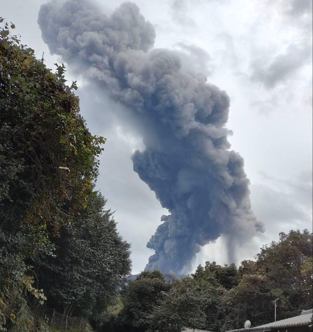桜島産 椿油 2025年度 約1.8L 一升瓶