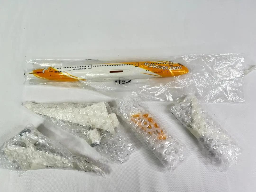 PPC Holland　FLY Scootスクート航空　B787-9　1/250