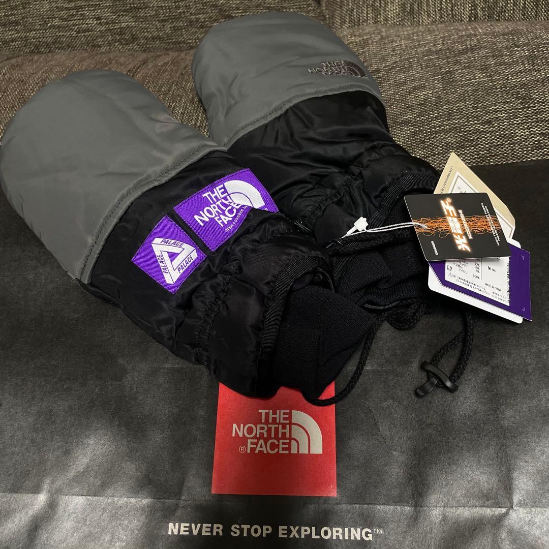 【PALACE × THE NORTH FACE】BACKPACK GREEN