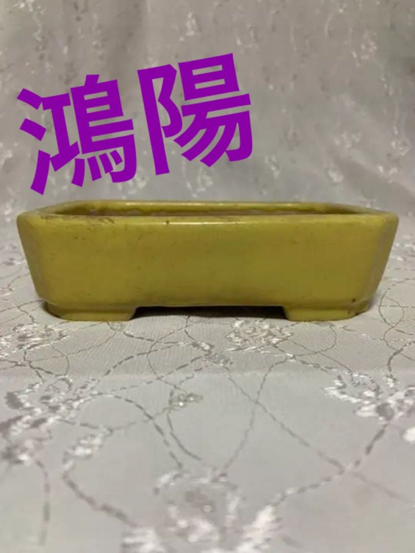 盆栽鉢　鴻陽