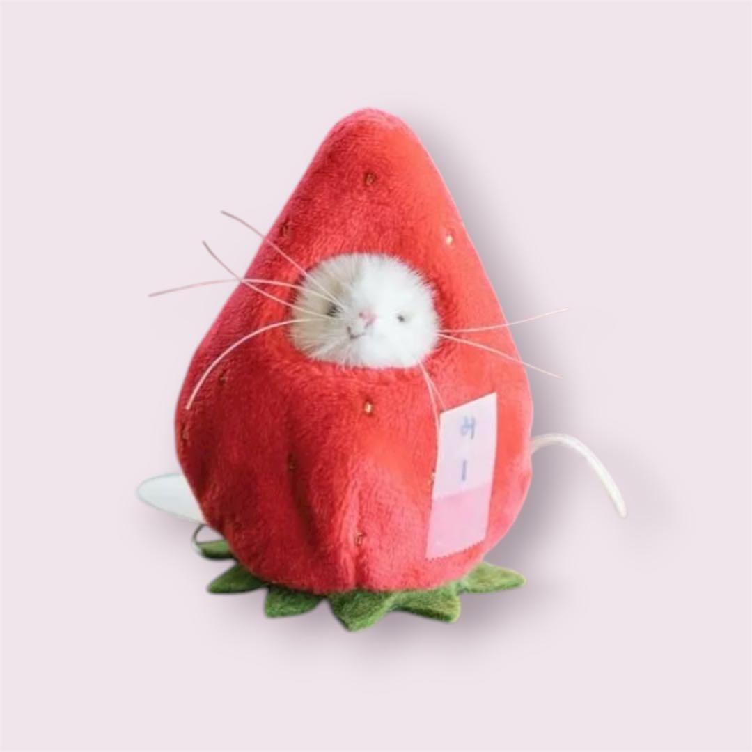 三角ユウリ　マウスのぬいぐるみ　苺