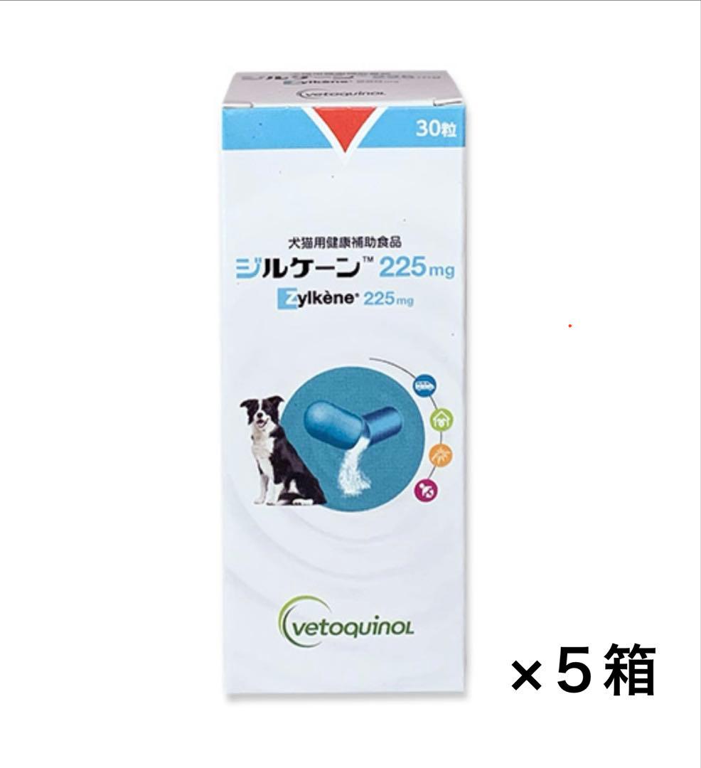 ジルケーン 225mg 30粒×3箱【賞味期限: 2026.10.03】