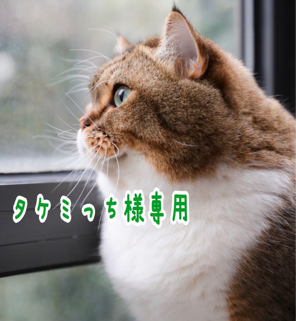 【鉛筆画・オーダー品】タケミっちページ