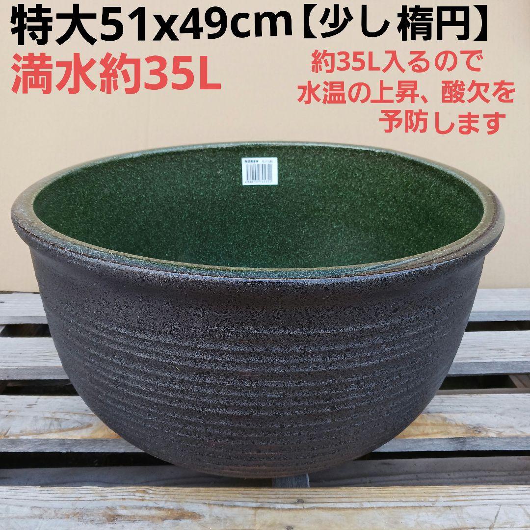 新品　特大51x49　陶器睡蓮鉢　メダカ鉢　難有　エメラルドグリーン　緑黒LBK