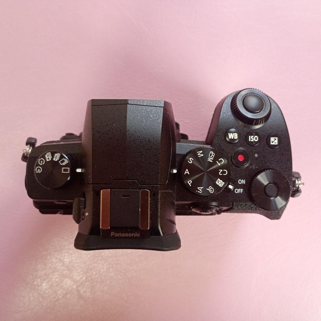 【中古美品】LUMIX G99D ボデイ（シャッター6829回）